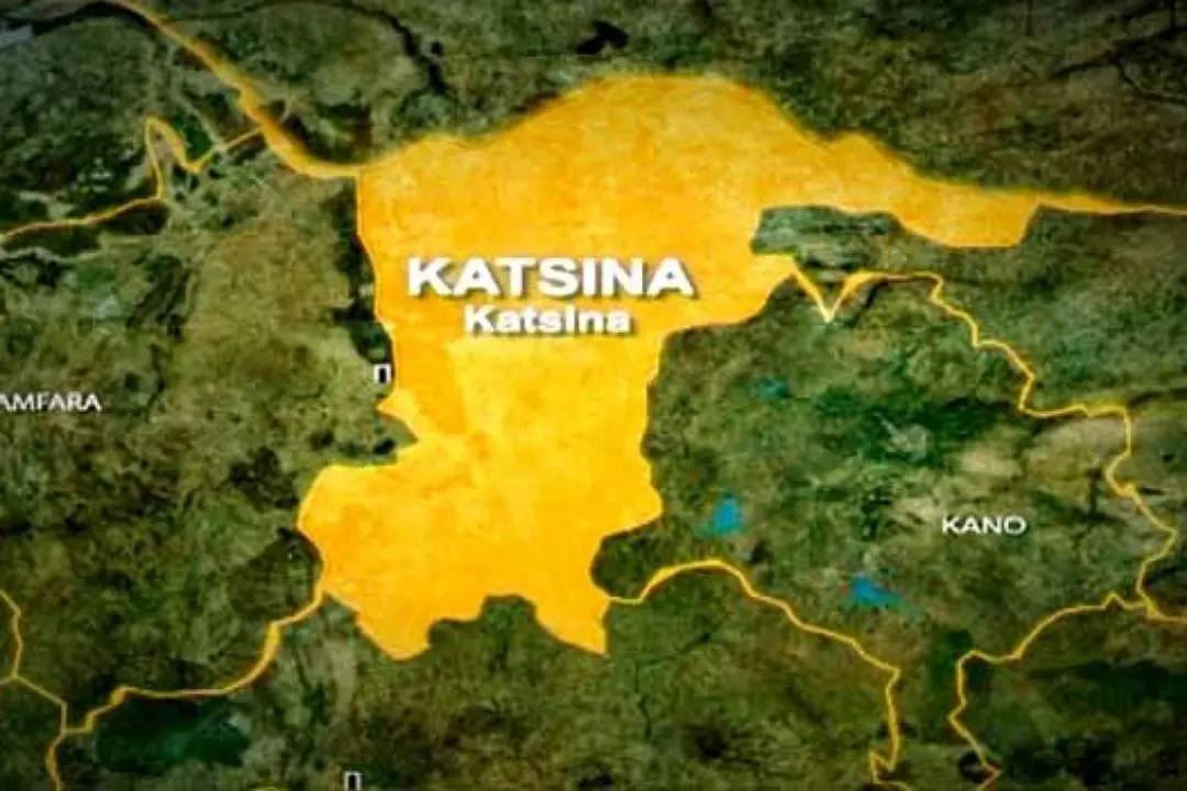 Police arrest suspected cross-border drug trafficker in Katsina