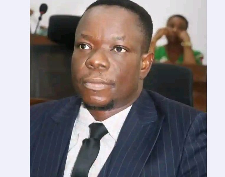 APC's only member in Abia House of Assembly resigns from party