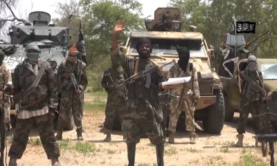 Boko Haram strikes Borno community, kill one, raze several homes