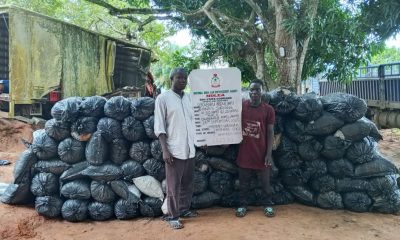 NDLEA arrests 54 suspected traffickers, seizes 1,506.57kg of drugs in Edo