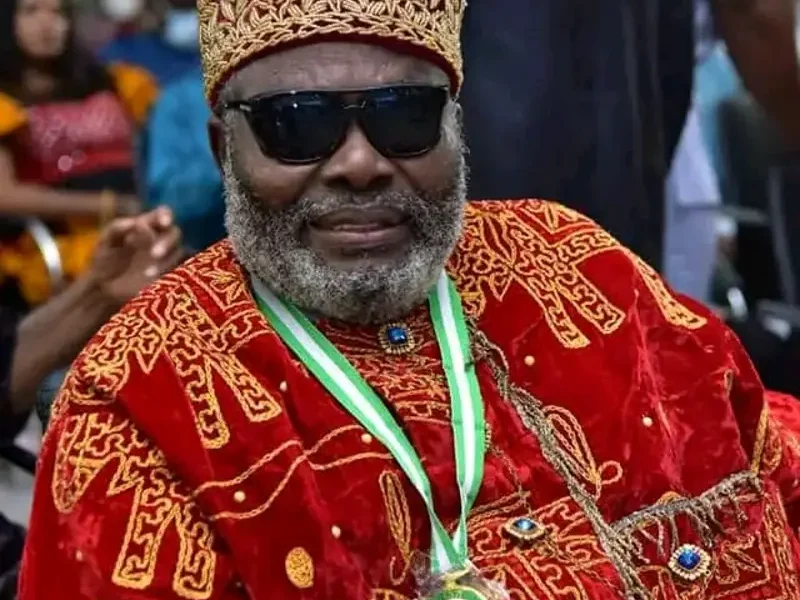 2027: Govs' defections evidence of APC's one-party state agenda – Wabara