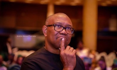 Alliance Anxiety: Which Political Party Will Peter Obi Call Home In 2027?