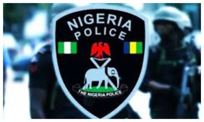 Bauchi police arrest suspected kidnapper, rescue two children in Plateau