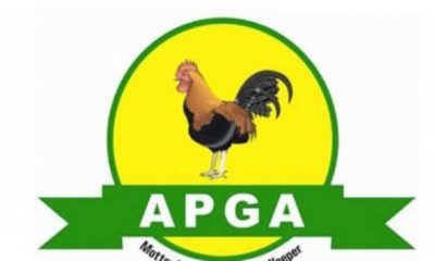 2025 Polls: Anambra APC Is Toothless, Spineless - APGA