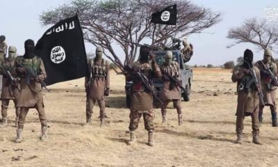 Five ISWAP commanders killed by Nigerian troops in Borno identified