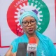 You've 72 hours to retract blackmail, attack on INEC, judiciary - Factional LP to Nenadi