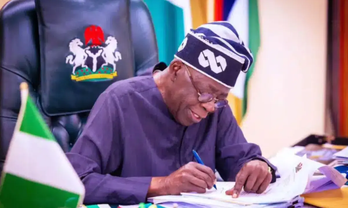 Tinubu playing games, can’t fix Nigeria without dismantling 1999 constitution - PDP’s Adetokunbo 
