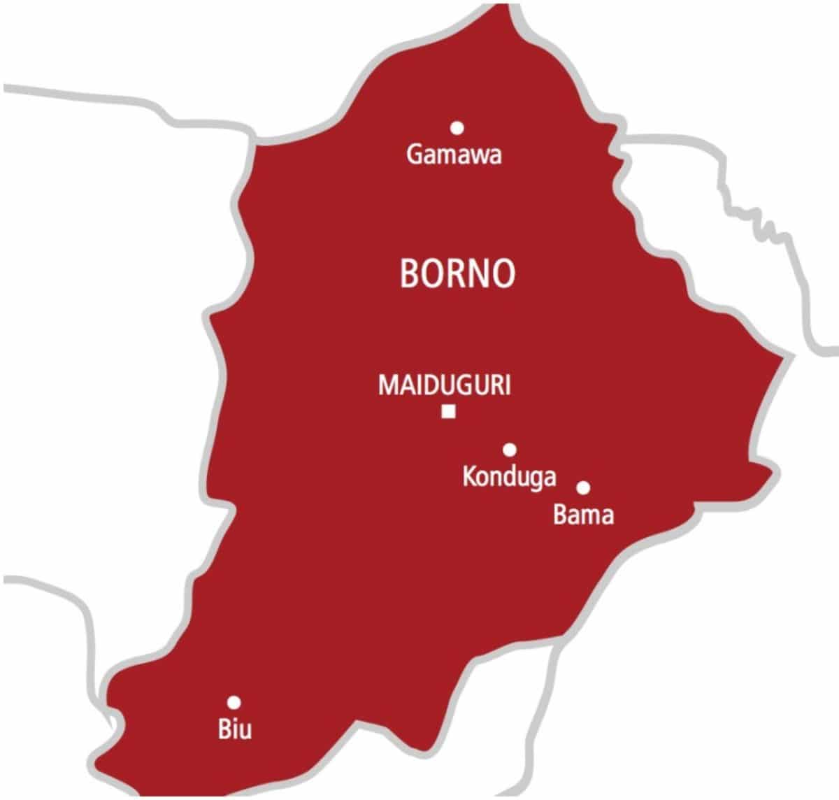 Police arrest woman for alleged stabbing of pregnant victim in Maiduguri