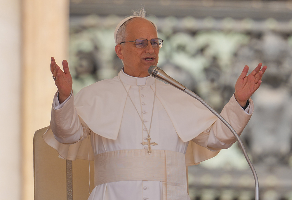 Alleged genocide: Many Christians have died - Pope Leo