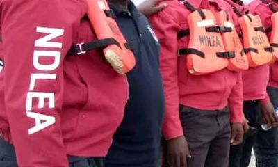 NDLEA arrests two drivers for allegedly conveying illicit drugs in Edo