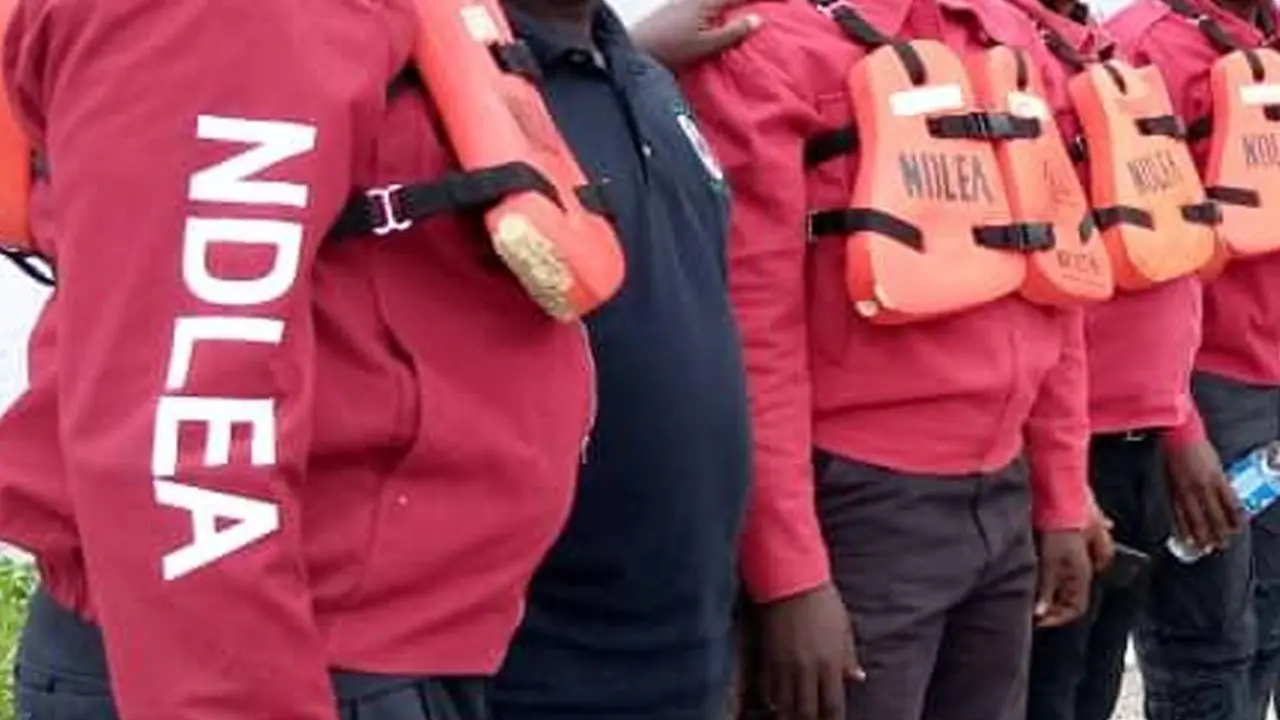 NDLEA arrests two drivers for allegedly conveying illicit drugs in Edo
