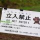 Japan Battles Spike In Bear Attacks • Channels Television