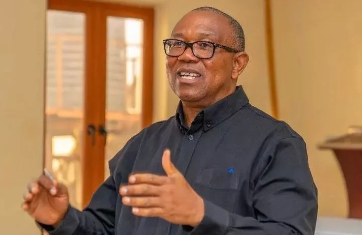 FG Aiding, Abetting Destruction Of Democracy Amid Overwhelming Insecurity – Arise News