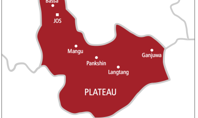 Train crushes tricyclist, passenger to death in Jos