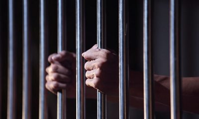 Five Jailed In Germany Over Child Sex Abuse Platform • Channels Television