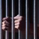 Five Jailed In Germany Over Child Sex Abuse Platform • Channels Television