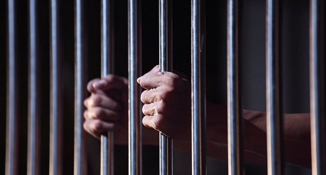 Five Jailed In Germany Over Child Sex Abuse Platform • Channels Television