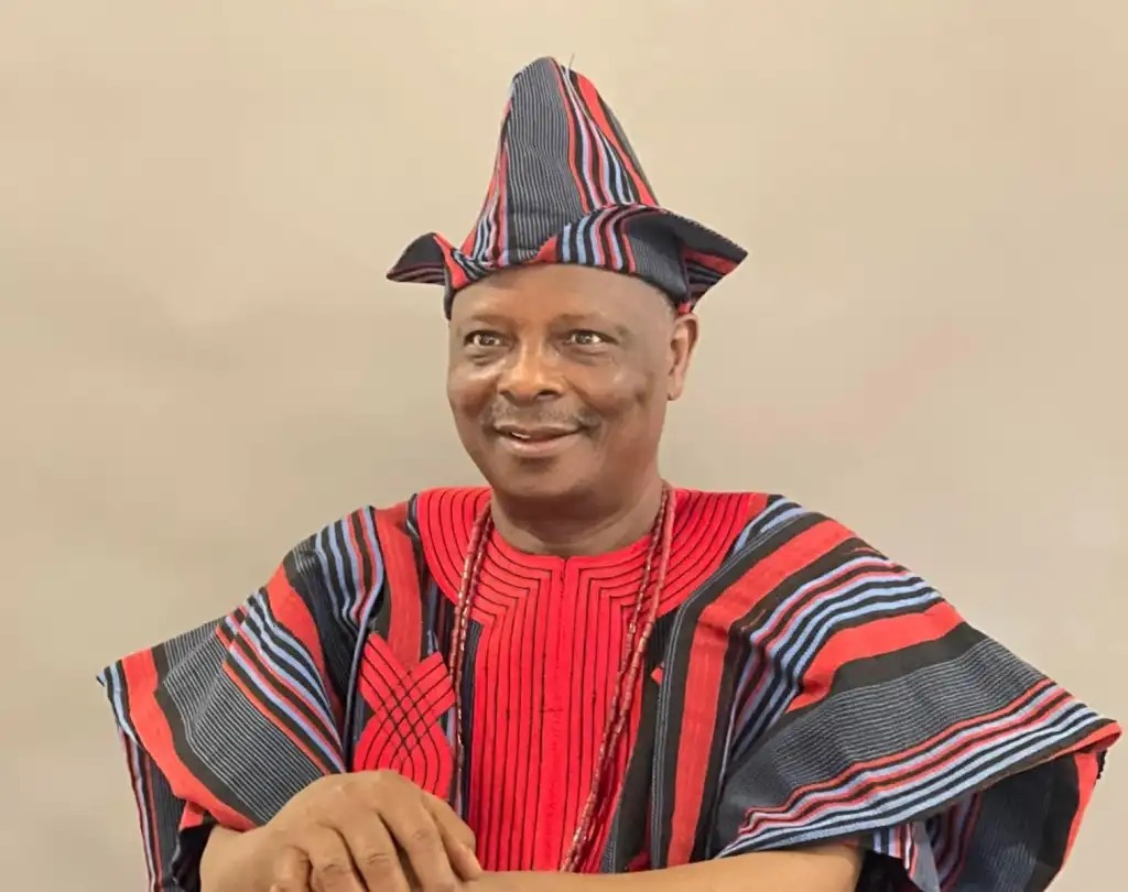 ‘APC Weak, Confused, They Need Kwankwaso To Win 2027 Election’ - NNPP Chairman Claims