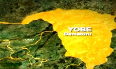 Yobe: Five farmers reportedly killed, others injured as suspected herdsmen invade communities