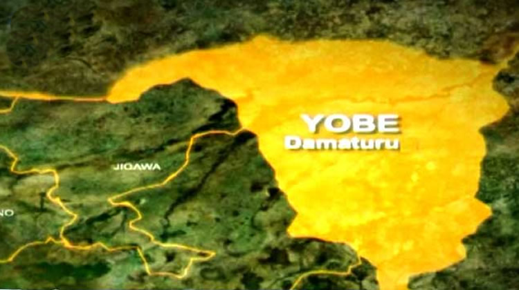 Yobe: Five farmers reportedly killed, others injured as suspected herdsmen invade communities
