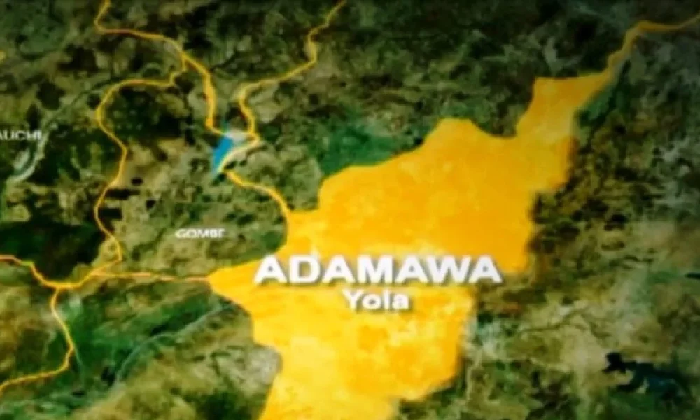 Police take custody of kidnap victim found tied up in Adamawa