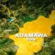 Police take custody of kidnap victim found tied up in Adamawa