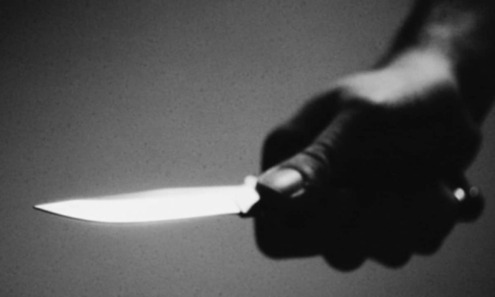 Civil defence officer stabbed to death while restraining mentally unstable suspect
