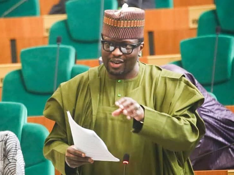 Lawmaker Dasuki Alleges Alteration Of Tax Laws Passed By National Assembly – Arise News