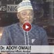 Some Ambassadorial Nominees Lack Integrity, Could Damage Nigeria’s Image Abroad – Arise News