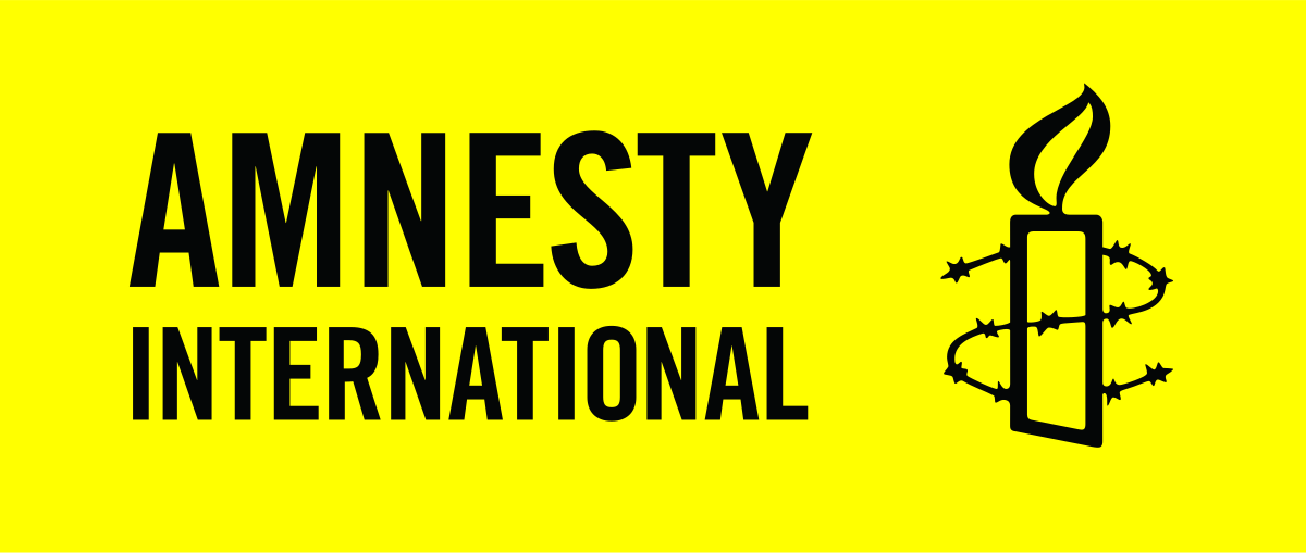Over 2,500 killed, 29,554 displaced in Plateau in six months - Amnesty International
