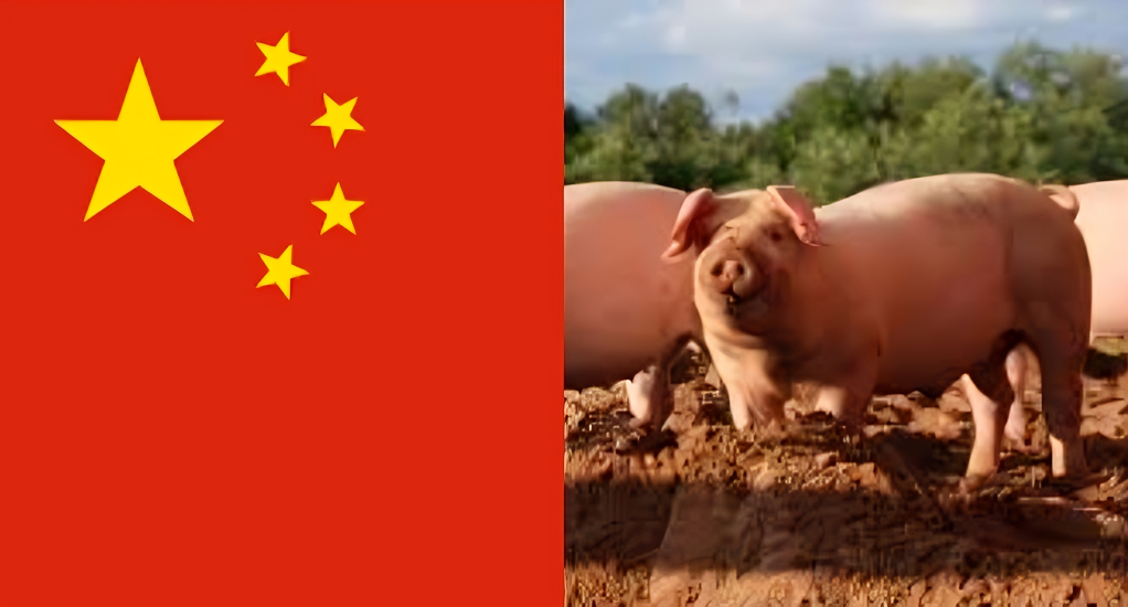 China To Impose Anti-Dumping Duties On EU Pork For Five Years • Channels Television