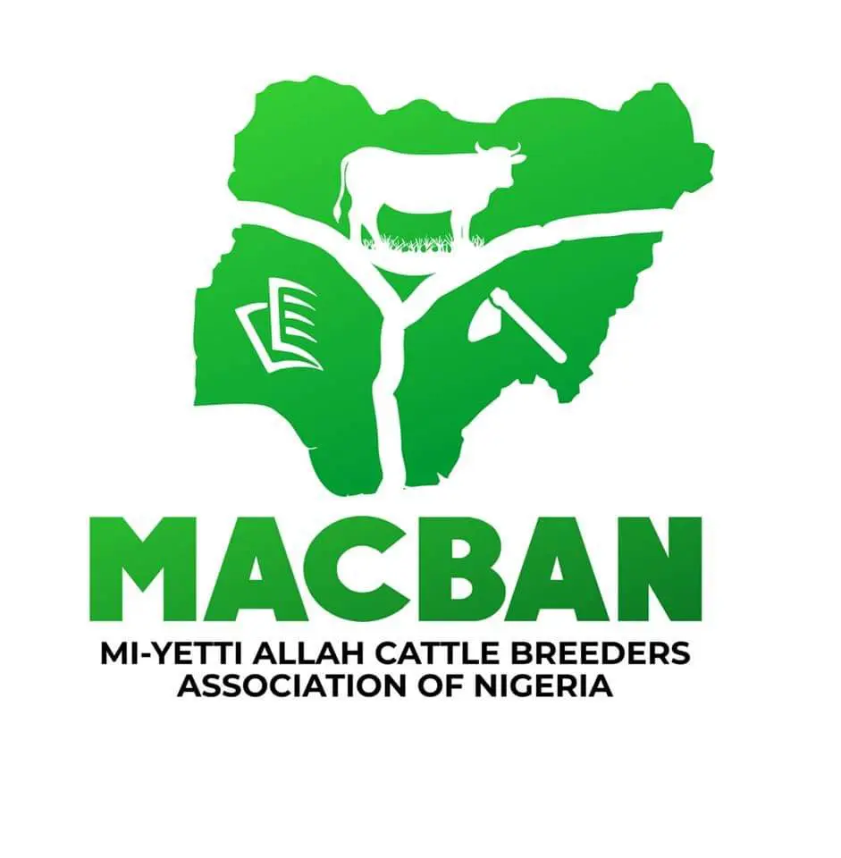 MACBAN claims gunmen opened fire on herders, rustled 168 cows in Plateau