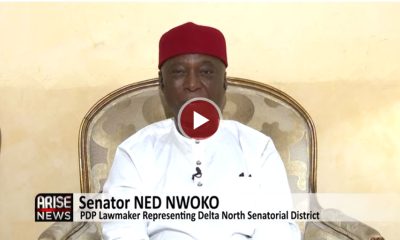 Ned Nwoko Renews Push For Social Media Regulation After Viral Retraction Video – Arise News