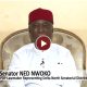 Ned Nwoko Renews Push For Social Media Regulation After Viral Retraction Video – Arise News