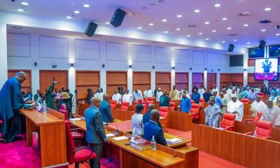 Senate Confirms 64 Ambassadors, Screens Tinubu’s Oil And Gas Regulatory Nominees – Arise News