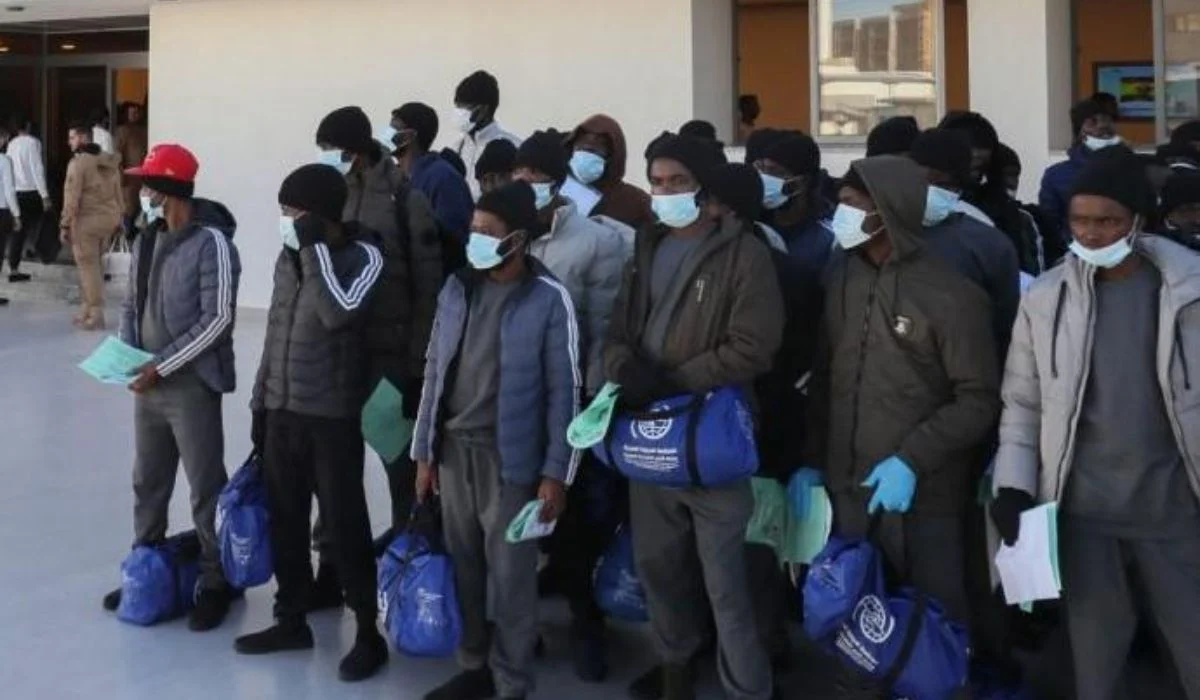 Canada deports 366 Nigerians as 974 face removal